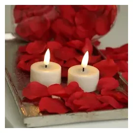 Deluxe Homeart LED Teelichter Mia D 4,1 cm creme 2 Stück