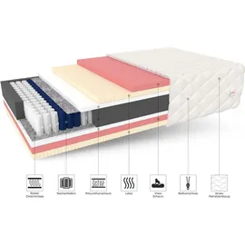 Fdm Matratze 100x200 cm CARPI 7 Zonen H2 H3 Taschenfederkern Visco Memory Schaum Latex Höhe ca. 24 cm mit waschbarem Bezug Premium Jersey