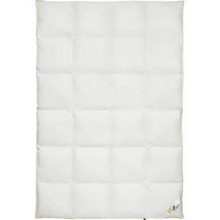 OBB 120 Jahre Daunendecke Sommer 135x200