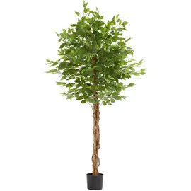 Tectake Künstlicher Ficusbaum Fida, realistische Textur - 180 cm,