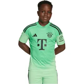 adidas FC Bayern München Torwarttrikot 2025/26 Kinder grün Gr. 176
