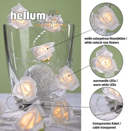 Hellum 300239 Beleuchtungsdekoration Leichte Dekorationskette 10 Glühbirne(n) LED