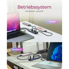 Icy Box IB-HUB1450-C31