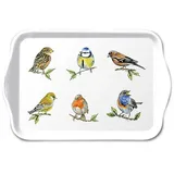 Ambiente Home Ambiente Tablett Melamin 21x13cm mit Singvögel Motiv - kleines Serviertablett Tray 13 x 21 cm Vögel der Heimat Melamine
