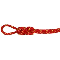 Mammut Alpine Core Protect Dry 8 Mm Seil -