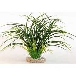 Sydeco Fan grass 30 Zentimeter Aquariendekoration