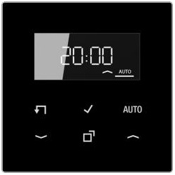 Jung Timer Standard mit Display (schwarz)