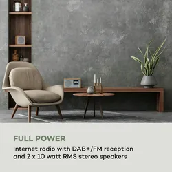 Silver Star Mini Two Internet DAB+/FM Radio, WiFi, BT, TWS Speaker Ulme