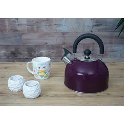 Mendler Flötenkessel HWC-J67, Wasserkessel Teekessel, Edelstahl hitzebeständig 2,5l ~ violett