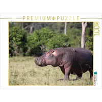 Calvendo Flusspferde – Morgenspaziergang 1000 Teile Puzzle quer