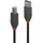 Lindy USB-A auf USB-B 2 m Schwarz