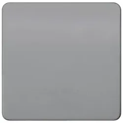 Siemens 5TG7921 DELTA profil Wippe neutral, silber