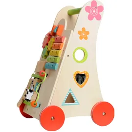 EverEarth Activity Walker