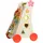 EverEarth Activity Walker