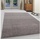 Ayyildiz Ata Kurzflorteppich 60 x 100 cm beige