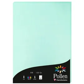 Clairefontaine Briefumschlag 10x Papier A4 120g 50 Blatt - Jadegrün 4233C, Karten und Umschläge pollen grün