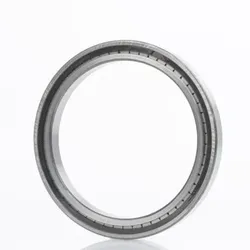Zylinderrollenlager SL192308