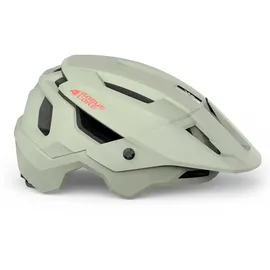 Bluegrass Rogue Core Mips 56-58 cm grau 2021