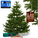 CASARIA Casaria® Premium künstlich XL 180 cm FSC®-Zertifiziert naturgetreu dichte Spitzen Stabiler Holzständer einfacher Aufbau Tannenbaum