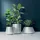 Prosperplast HEOS 43,9 x 43,9 x 44 cm Weiß
