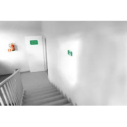 Exacompta 67002E Hinweisschild, Evakuierung links, PVC, selbstklebend und rutschfest, 20x20 cm - Grün