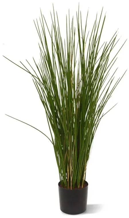 Designplants Gras Kunstpflanze (h: 80 cm)