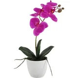 Künstliche Orchidee - Juan | 36 cm