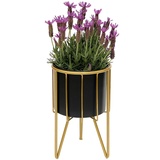 DanDiBo Ambiente DanDiBo Blumenhocker mit Topf Metall Gold Schwarz Rund S 32 cm Blumenständer 96039 Blumensäule Modern Pflanzenständer Pflanzenhocker