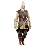 Hasbro Star Wars Episode II Black Series Ki-Adi-Mundi 15 cm