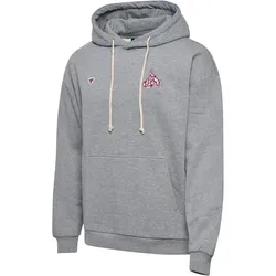 hummel 1. FC Köln Fan-Hoodie 2024/25 2006 - grey melange M