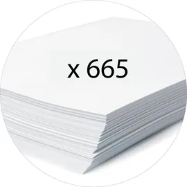 Exacompta 53074E Ringmappe A4 Mehrfarbig