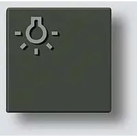 Siedle Siedle&Söhne Taste m.Lichtsym. garphit 200029097-00