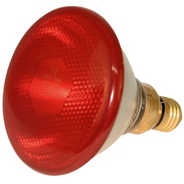 Kerbl Infrarotlampe Sparlampe (175 W,