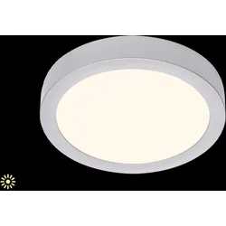 BRILONER LEUCHTEN Aufbauleuchte "FIRE", silber, Lampen