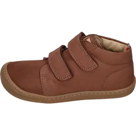 Koel Don Braun 25