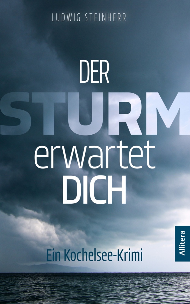 Der Sturm Erwartet Dich - Ludwig Steinherr  Kartoniert (TB)