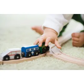 Electrolux UltraOne Green EUOC9GREEN