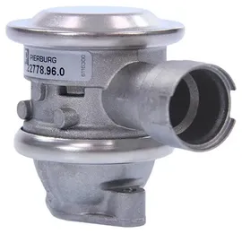 Pierburg Ventil, Sekundärluftsystem