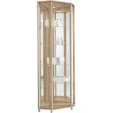 fif möbel Eckvitrine TRIO Höhe ca. 172 cm, ink. Beleuchtung Eckvitrine/Glasvitrine 1x Glastür, perfekt für Sammler, Sammlervitrine braun