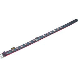 Heim Hundehalsband Heartbeat, 50x2,5 cm