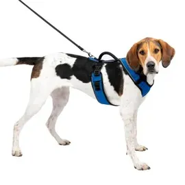 PetSafe EasySport Hundegeschirr Blau
