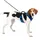 PetSafe EasySport Hundegeschirr Blau