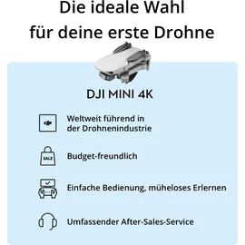 DJI Mini 4K