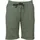 witeblaze Tech Shorts grün 44