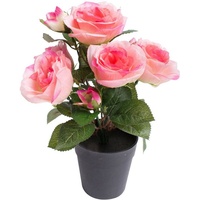 Botanic-Haus künstlicher Rosenbusch mit 5 Rosen und 4 Knospen im schwarzen Kunststofftopf (pink)