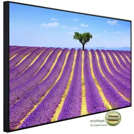 Papermoon Infrarotheizung Lavendel in der Provence, Matt-Effekt - bunt