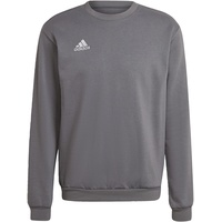 adidas Entrada 22 Sweatshirt team grey four, M
