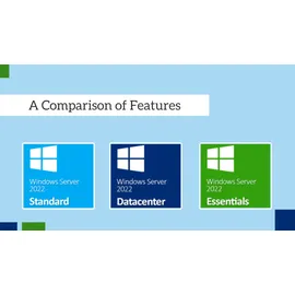 Microsoft Windows Server 2022 Standard OEM ESD EN