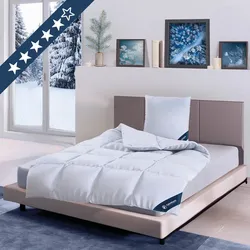 Winterdaunendecke »LUXUS« – Warm, 100% Daunen, Größe: 200x220