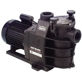 Hayward Filterpumpe Schwarz 11 m3/h